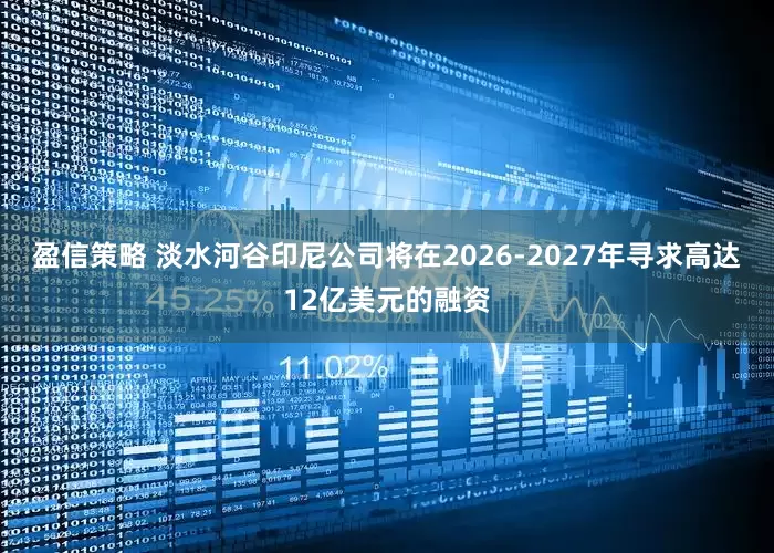盈信策略 淡水河谷印尼公司将在2026-2027年寻求高达12亿美元的融资